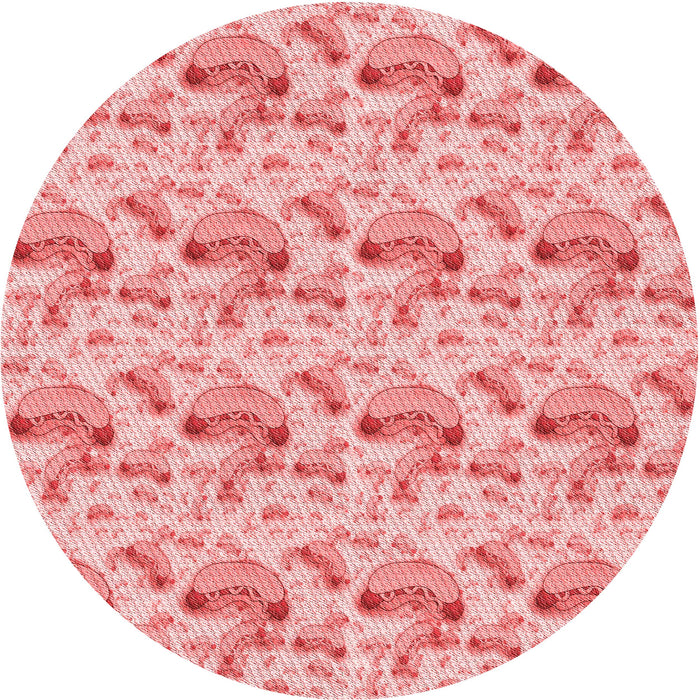 Square Machine Washable Transitional Red Rug in a Living Room, wshpat1737rd