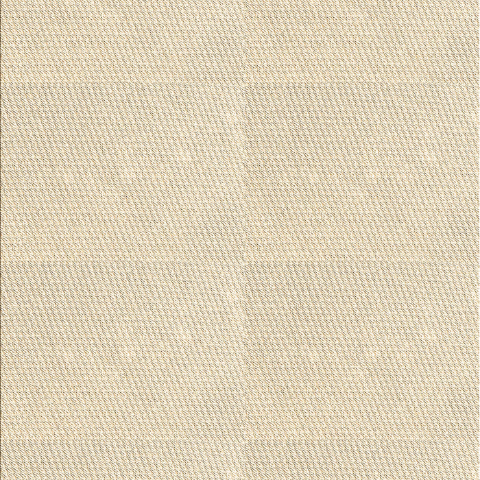 Machine Washable Transitional Brown Sugar Brown Rug, wshpat1738brn