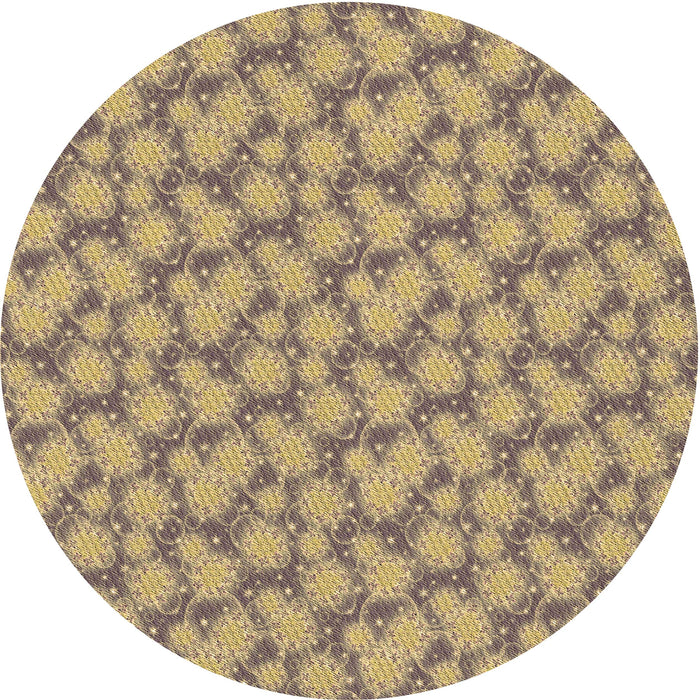 Square Machine Washable Transitional Brown Rug in a Living Room, wshpat1739brn