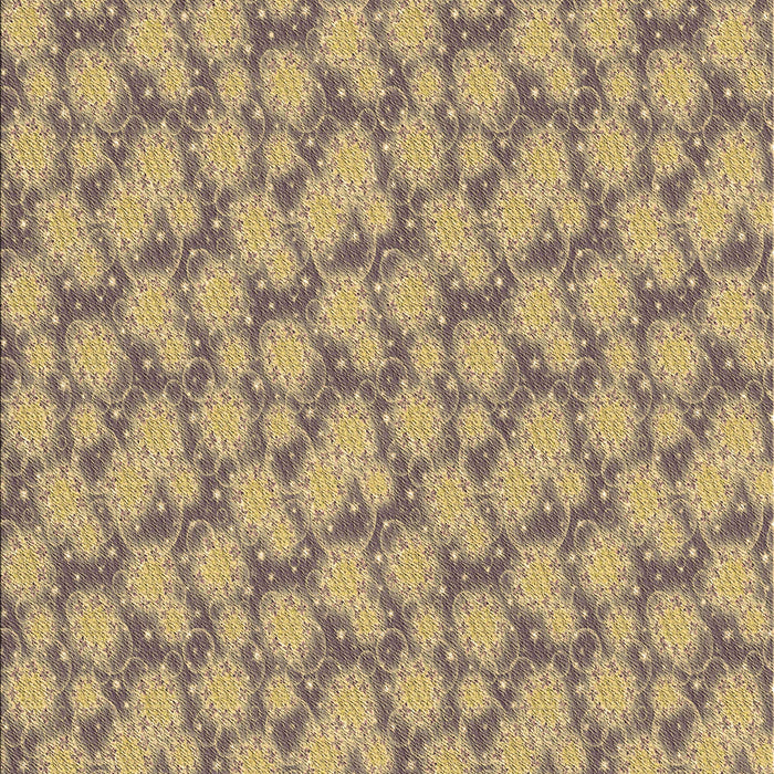 Machine Washable Transitional Brown Rug, wshpat1739brn