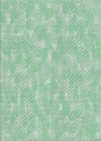 Machine Washable Transitional Green Rug, wshpat173