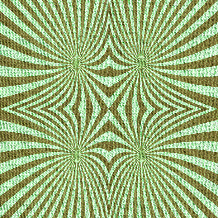 Machine Washable Transitional Light Green Rug, wshpat1740grn