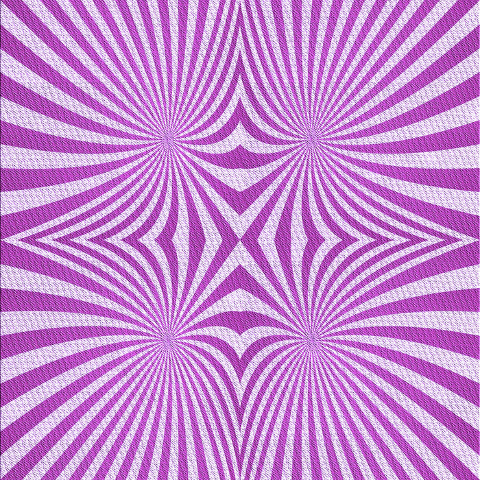 Machine Washable Transitional Fuchsia Magenta Purple Rug, wshpat1740pur