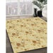 Patterned Orange Gold Rug in Family Room, pat1741brn