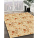 Machine Washable Transitional Orange Rug in a Family Room, wshpat1741org