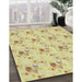 Patterned Caramel Brown Novelty Rug in Family Room, pat1741
