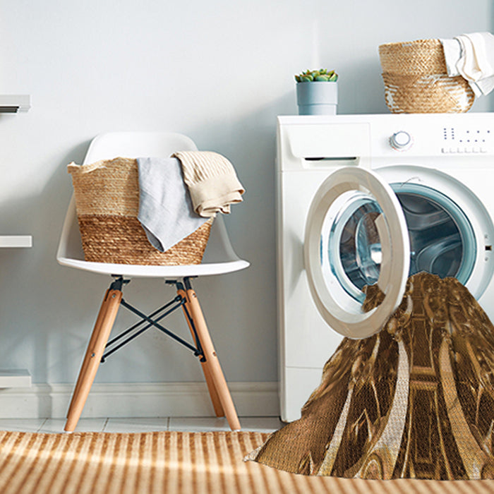 Machine Washable Transitional Red Brown Rug in a Washing Machine, wshpat1744org