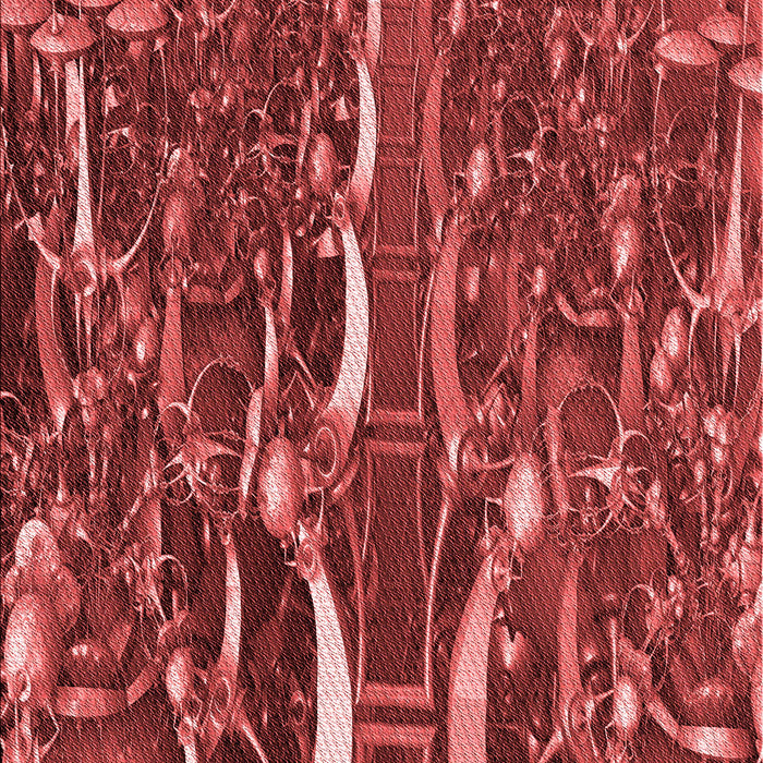 Machine Washable Transitional Red Rug, wshpat1744rd