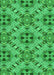 Machine Washable Transitional Neon Green Rug, wshpat1747grn