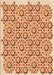 Machine Washable Transitional Orange Red Orange Rug, wshpat1749org