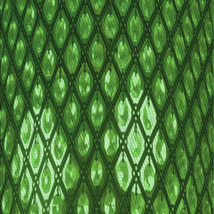 Machine Washable Transitional Deep Emerald Green Rug, wshpat175grn