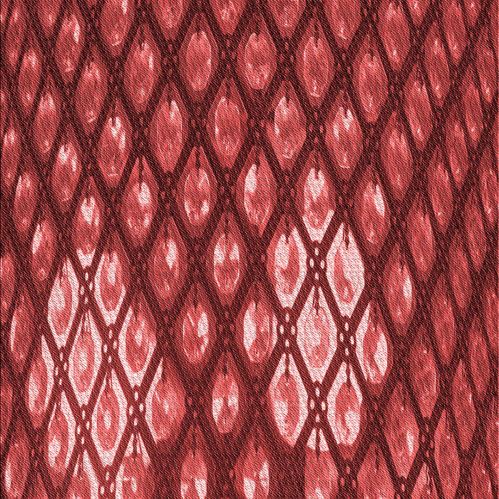 Machine Washable Transitional Red Rug, wshpat175rd