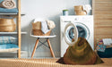 Machine Washable Transitional Red Brown Rug in a Washing Machine, wshpat1750org