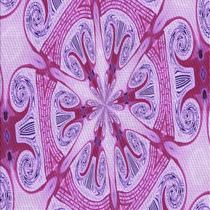 Machine Washable Transitional Orchid Purple Rug, wshpat1751pur