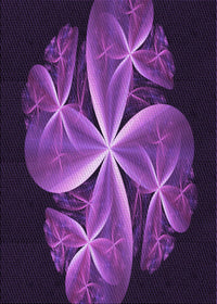Machine Washable Transitional Dark Orchid Purple Rug, wshpat1752pur