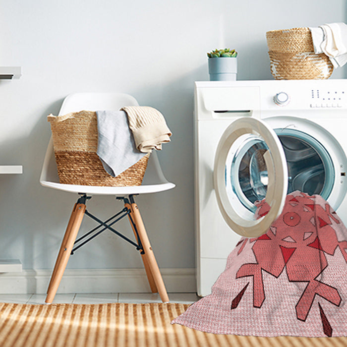 Machine Washable Transitional Red Rug in a Washing Machine, wshpat1753rd