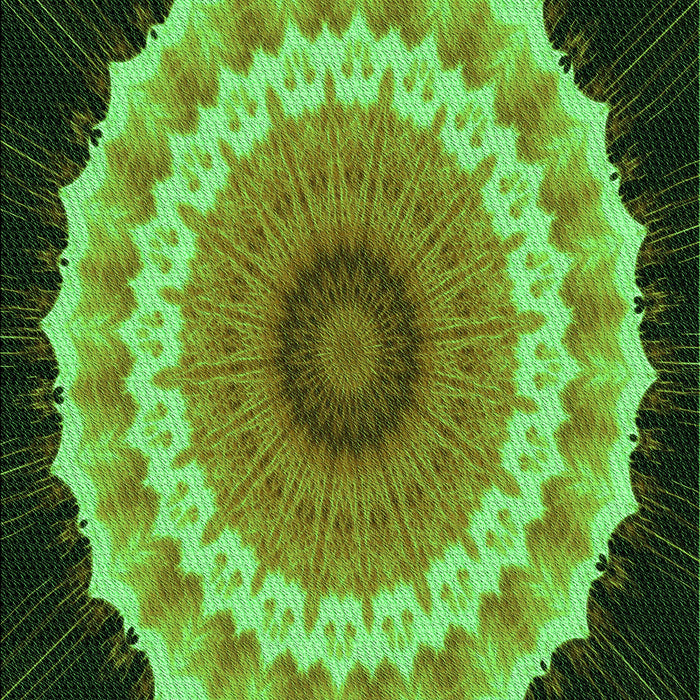 Machine Washable Transitional Dark Forest Green Rug, wshpat1754grn