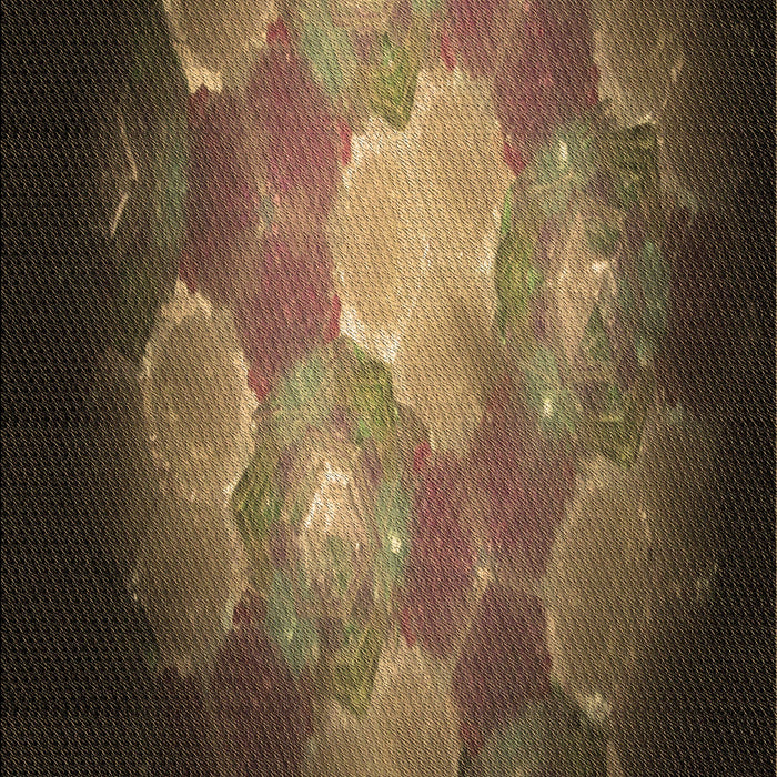 Patterned Red Rug, pat1755brn