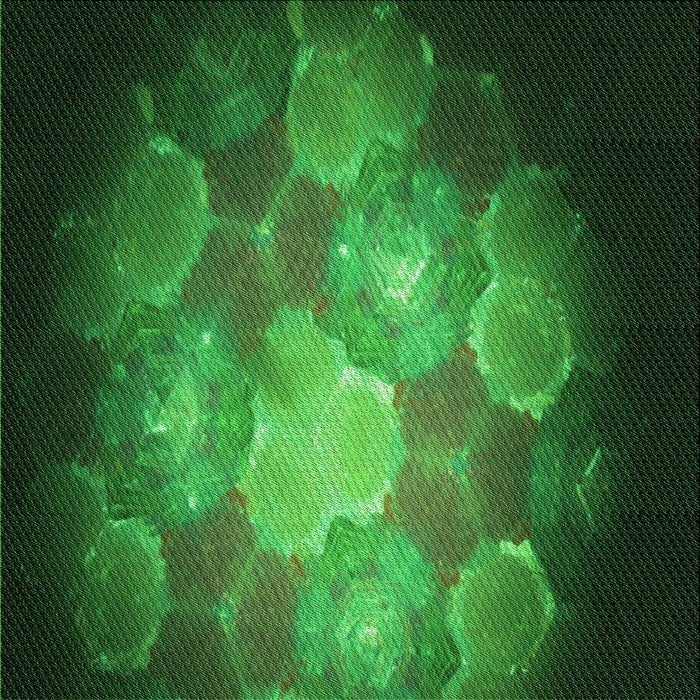 Round Machine Washable Transitional Deep Emerald Green Rug, wshpat1755grn