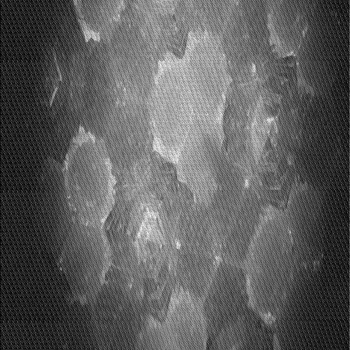 Patterned Charcoal Black Rug, pat1755gry