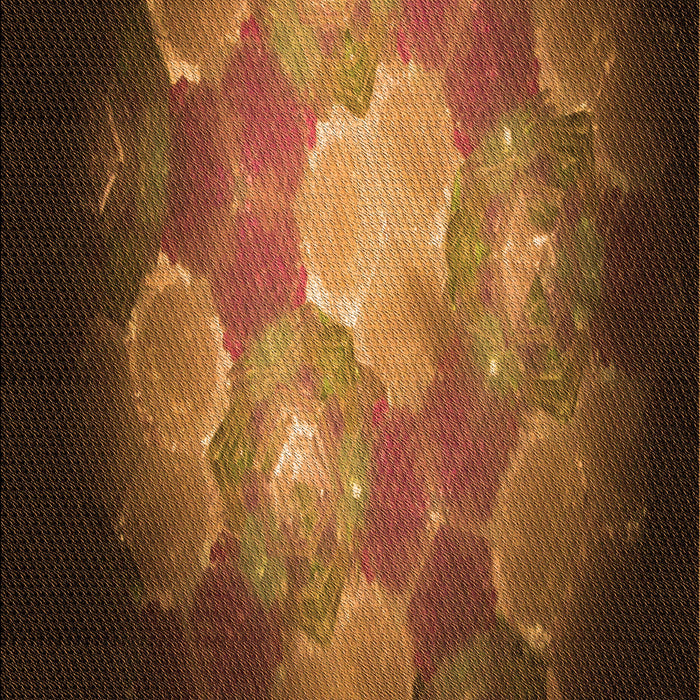 Patterned Red Rug, pat1755org