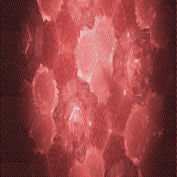 Machine Washable Transitional Red Rug, wshpat1755rd