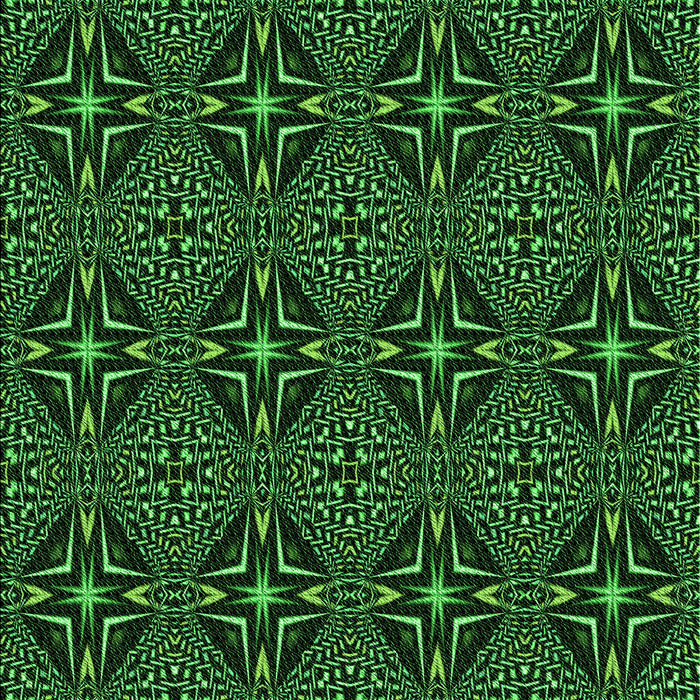 Machine Washable Transitional Black Rug, wshpat1759grn