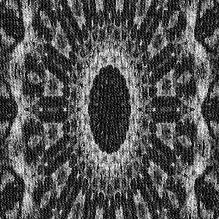 Machine Washable Transitional Gray Rug, wshpat1763gry