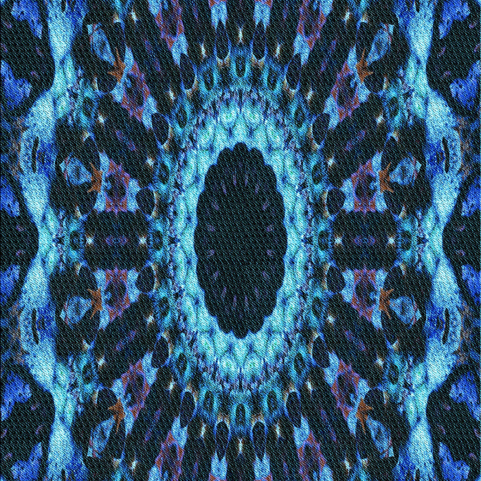 Machine Washable Transitional Blue Ivy Blue Rug, wshpat1763lblu