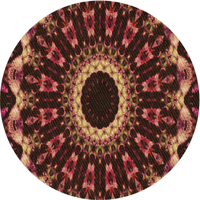 Square Machine Washable Transitional Red Rug in a Living Room, wshpat1763org