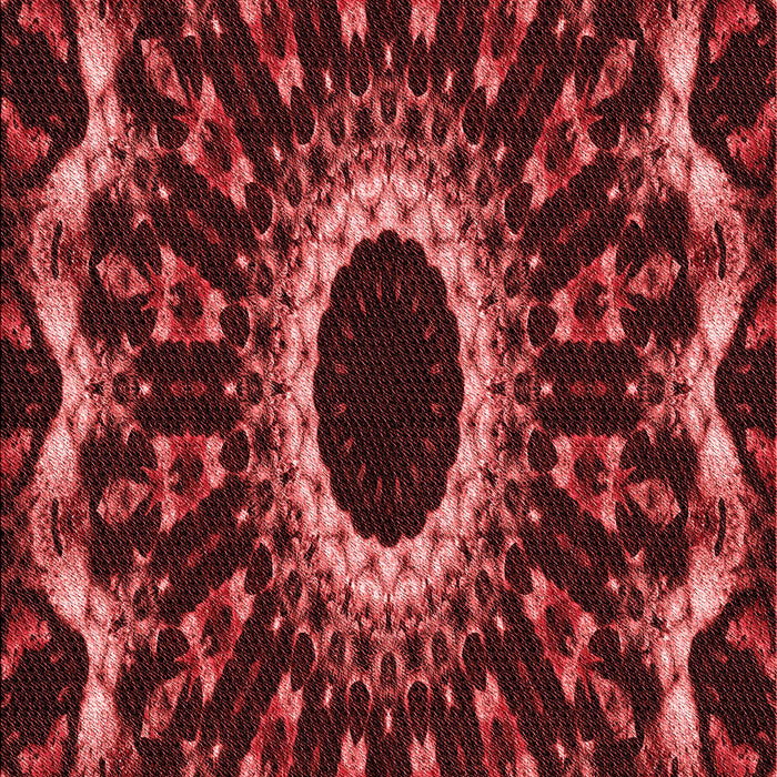 Machine Washable Transitional Red Rug, wshpat1763rd