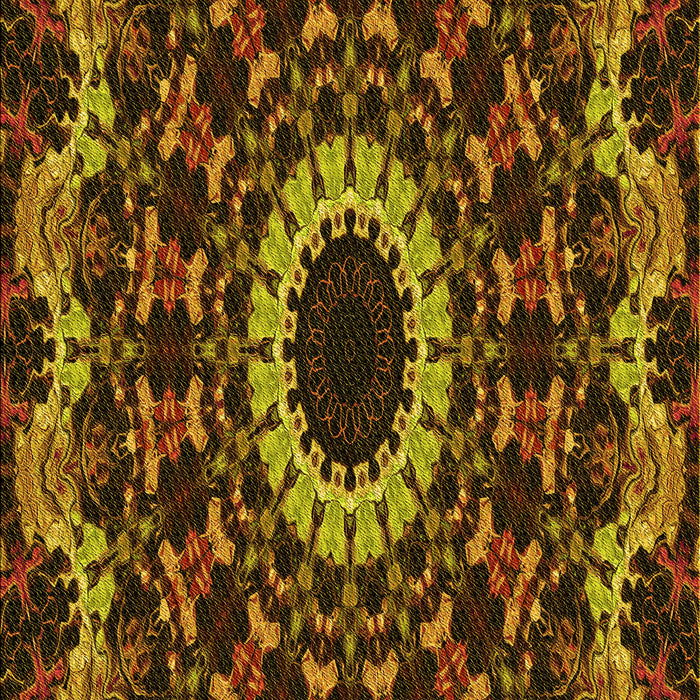 Patterned Red Rug, pat1764yw