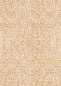 Machine Washable Transitional Orange Rug, wshpat1765org