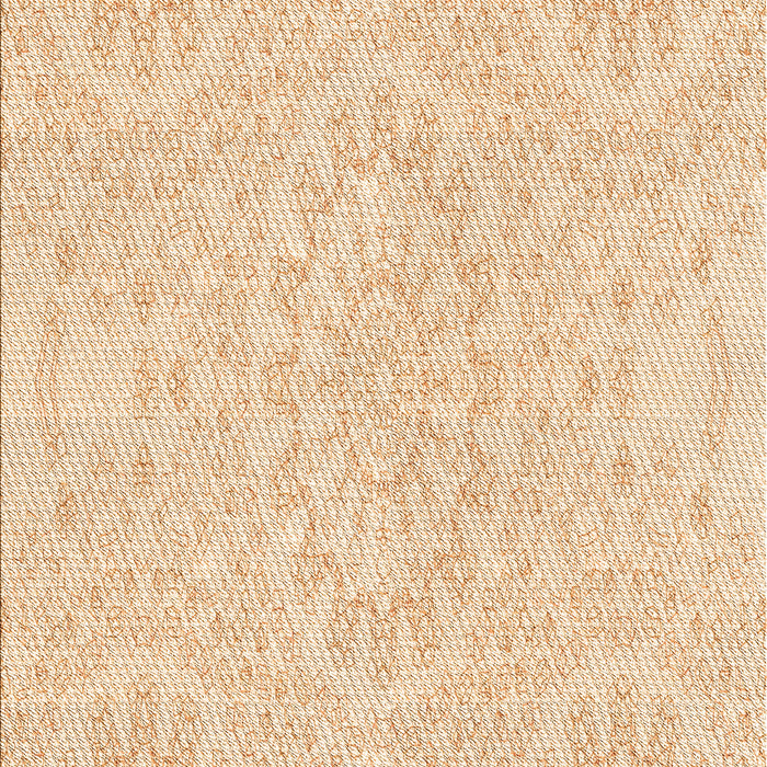 Machine Washable Transitional Orange Rug, wshpat1765org