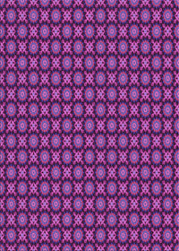 Machine Washable Transitional Dark Magenta Purple Rug, wshpat1766pur