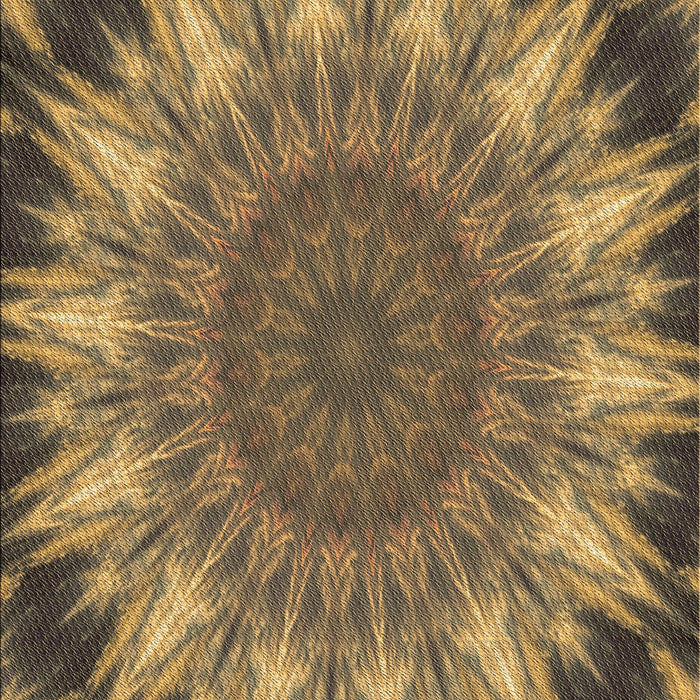 Patterned Caramel Brown Rug, pat1769brn