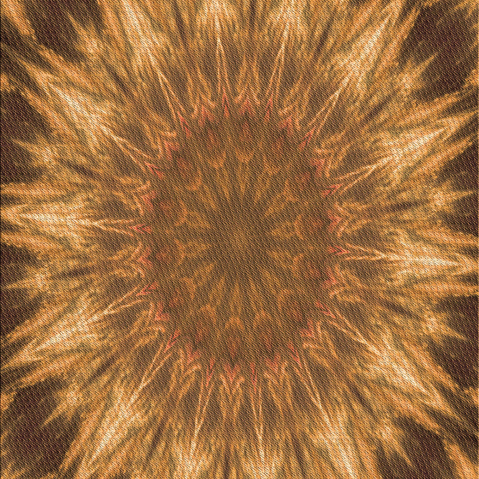 Machine Washable Transitional Saddle Brown Rug, wshpat1769org