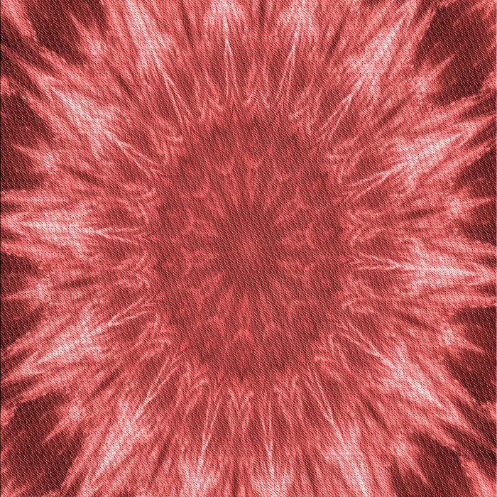 Patterned Red Rug, pat1769rd