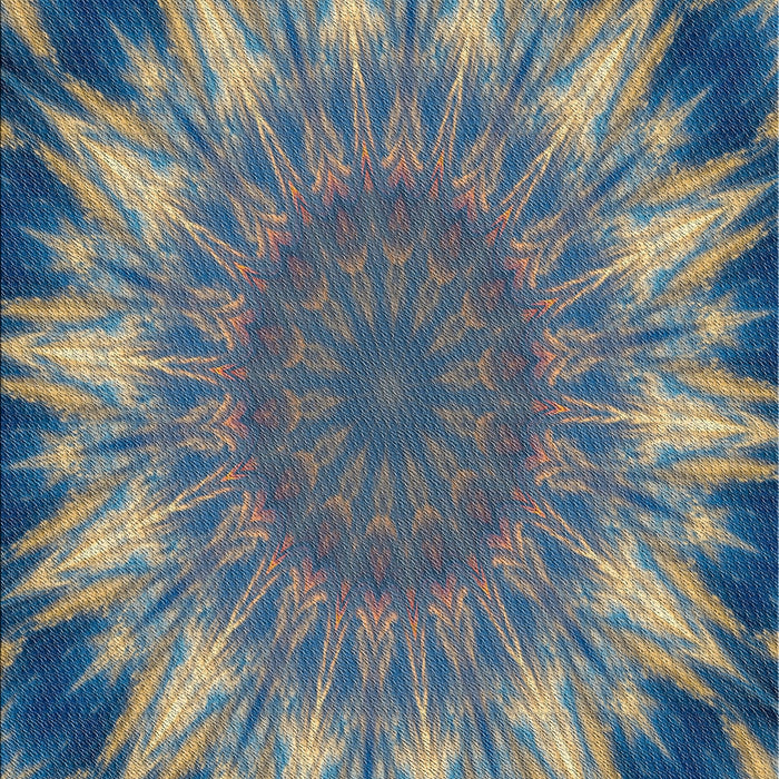 Patterned Blue Novelty Rug, pat1769