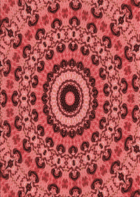 Machine Washable Transitional Red Rug, wshpat177rd