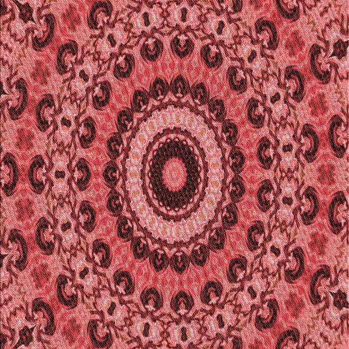 Machine Washable Transitional Red Rug, wshpat177rd