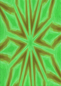 Machine Washable Transitional Neon Green Rug, wshpat1771grn