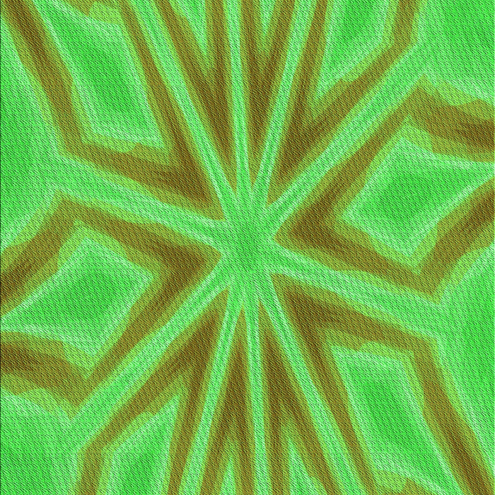 Machine Washable Transitional Neon Green Rug, wshpat1771grn