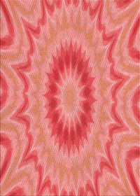 Machine Washable Transitional Ruby Red Rug, wshpat1772rd