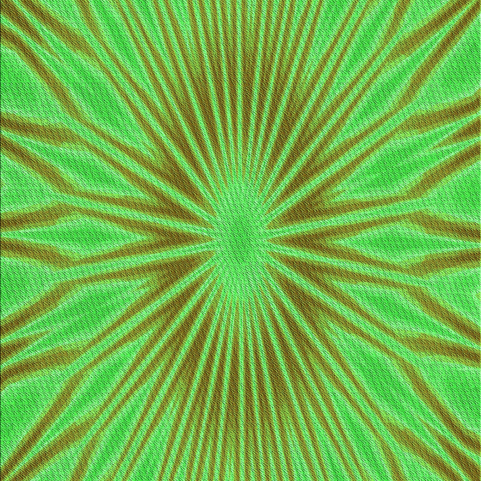 Machine Washable Transitional Neon Green Rug, wshpat1773grn