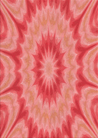Machine Washable Transitional Ruby Red Rug, wshpat1774rd