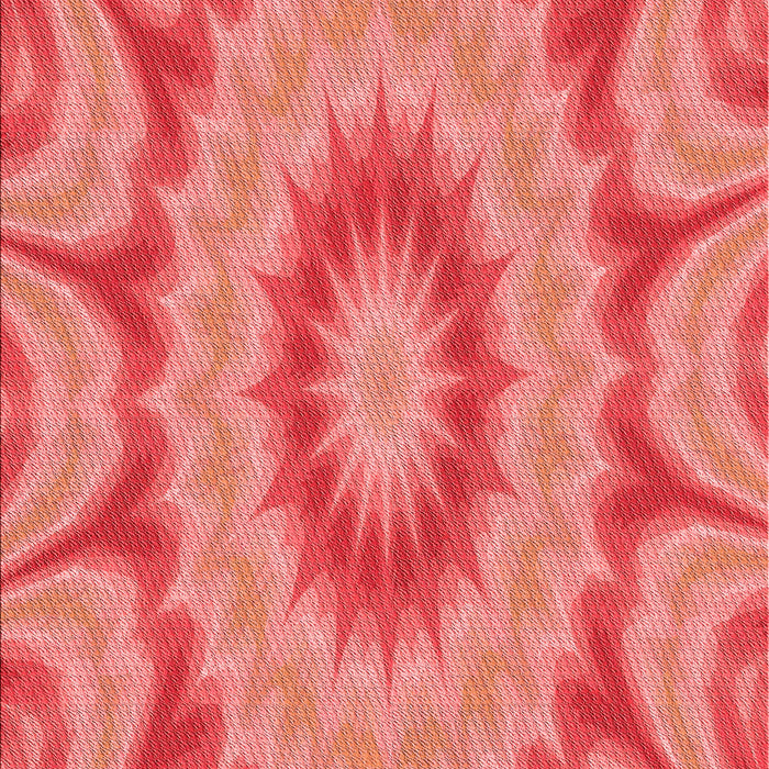 Machine Washable Transitional Ruby Red Rug, wshpat1774rd