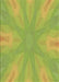 Machine Washable Transitional Pistachio Green Rug, wshpat1775brn