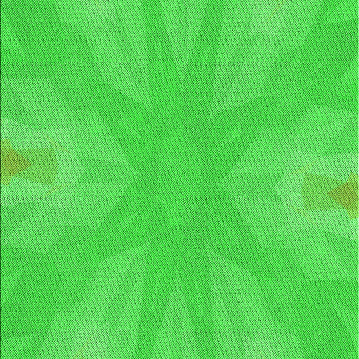 Machine Washable Transitional Lime Green Rug, wshpat1775grn