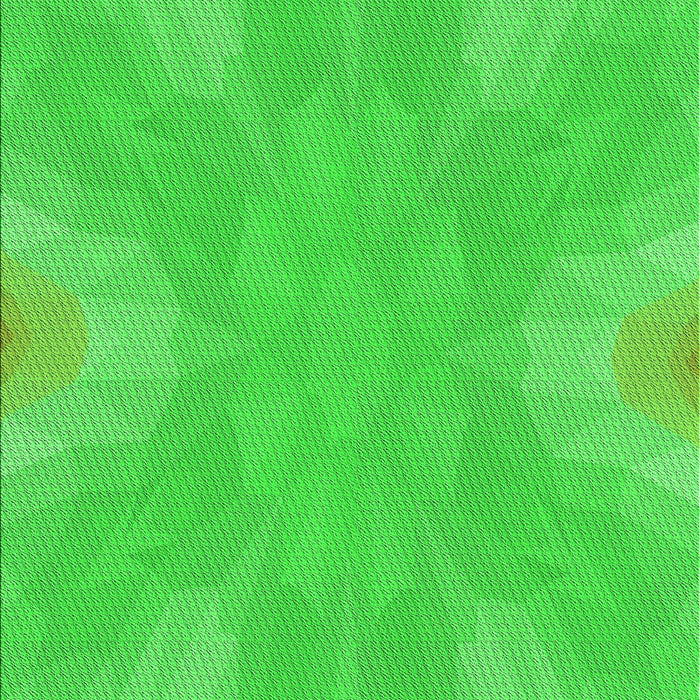 Machine Washable Transitional Lime Green Rug, wshpat1776grn